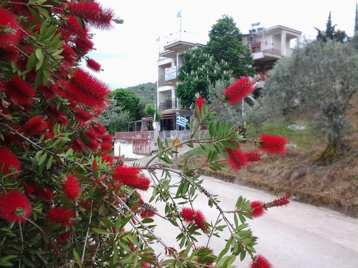 Theoxenia Apartment Pteleos Exterior photo